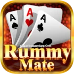 Rummy Mate icon